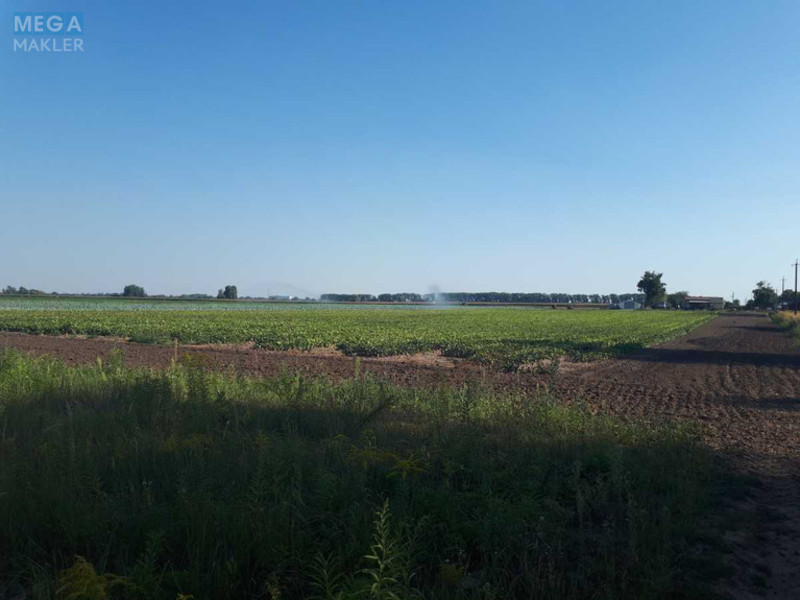 Продажа участка, 377&nbsp;соток, земля сельскохозяйственного назначения, <a class="location-link" href="/senkovka-selo/" title="Недвижимость Сеньківка">Сеньківка</a>, б/н (изображение 1)