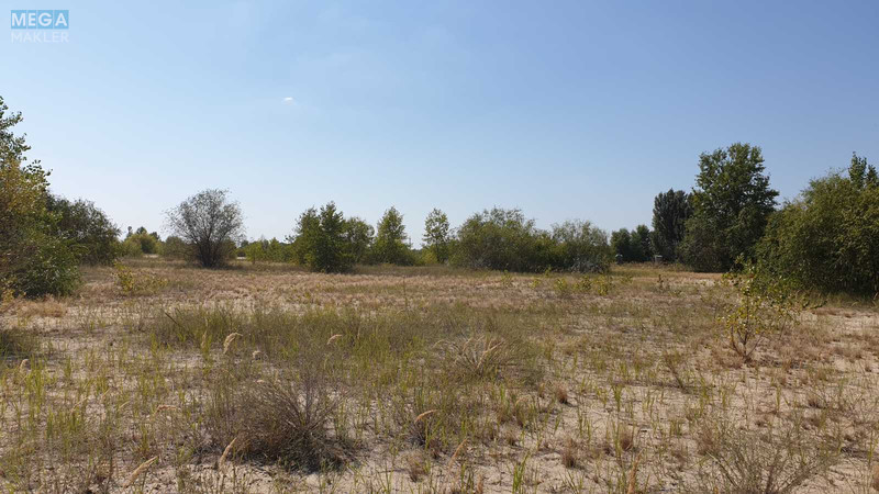 Продажа участка, 4 286 соток, земля сельскохозяйственного назначения, <a class="location-link" href="/vishenki-selo-kv/" title="Недвижимость Вишеньки">Вишеньки</a>, б/н (изображение 1)