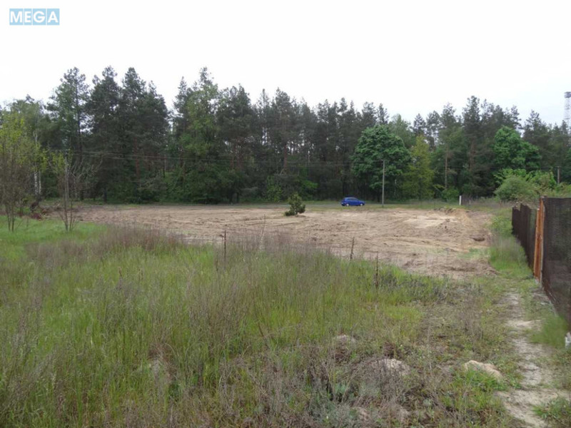 Продажа участка, 15&nbsp;соток, участок под жилую застройку, <a class="location-link" href="/torfyanoe/" title="Недвижимость Торф'яни">Торф`яне</a>, Лісова (изображение 1)