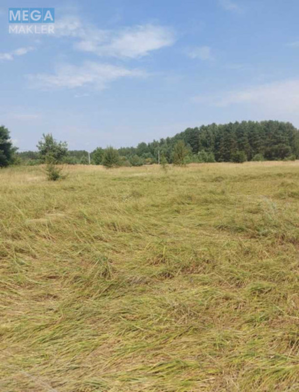 Продажа участка, 10&nbsp;соток, участок под жилую застройку, <a class="location-link" href="/yasnogorodka/" title="Недвижимость Ясногородка">Ясногородка</a>, Польова (изображение 1)