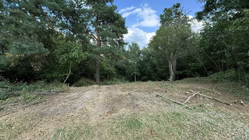 Продажа участка, 20&nbsp;соток, участок под жилую застройку, <a class="location-link" href="/plyuty/" title="Недвижимость Плюті">Плюти</a>, Малишка 8/1 (изображение 1)