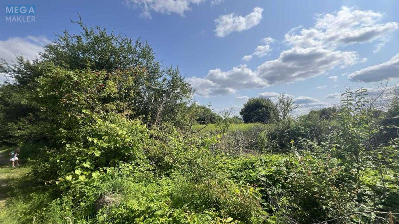 Продажа участка, 8&nbsp;соток, земля сельскохозяйственного назначения, <a class="location-link" href="/zhirovka/" title="Недвижимость Жирівка">Жирівка</a>, Кишова (изображение 1)