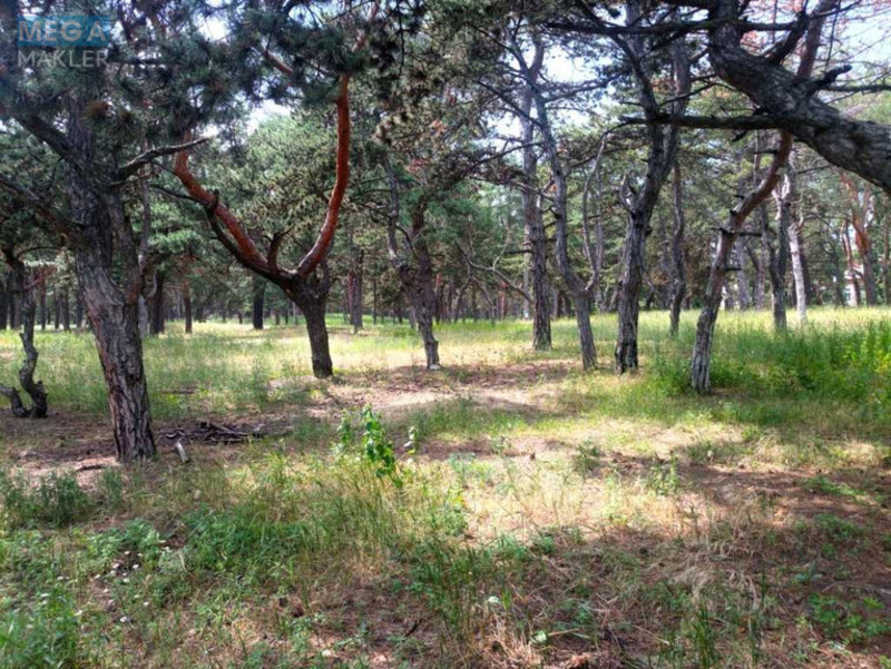 Продажа участка, 20 соток, участок под жилую застройку, <a class="location-link" href="/dnepropetrovsk/" title="Недвижимость Дніпра">Дніпро</a>, Омеляновича-Павленко (изображение 1)
