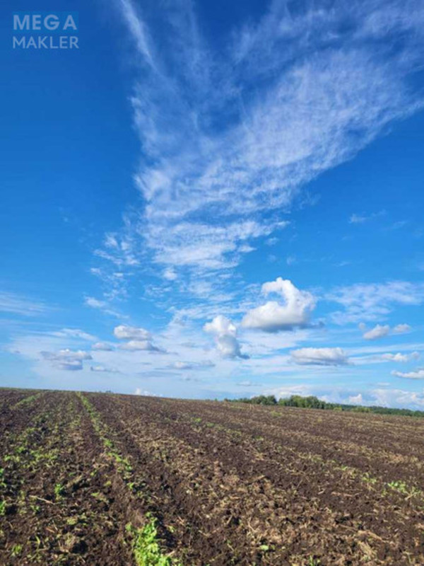 Продажа участка, 10&nbsp;соток, участок под жилую застройку, <a class="location-link" href="/gaj-selo-lv-pustomytovskij-rajon/" title="Недвижимость Гаї">Гаї</a>, Глуховичі (изображение 1)