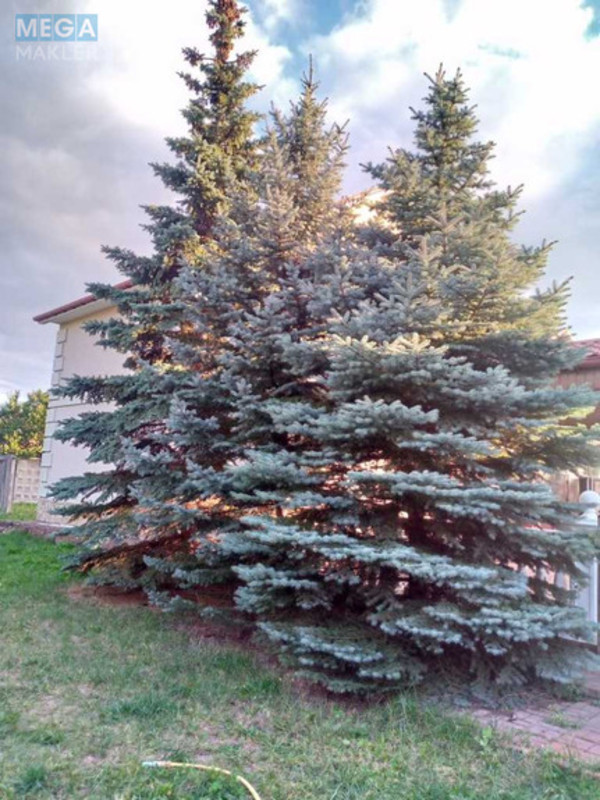 Оренда дома, <a class="location-link" href="/kiev/" title="Недвижимость Київ">Київ</a>, <a class="location-link" href="/kiev/darnickij/" title="Недвижимость Дарницький район">Дарницький р-н</a>, Центральная ул. (изображение 1)