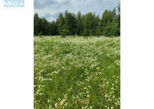 Продажа участка, 1 689,42 соток, земля сельскохозяйственного назначения