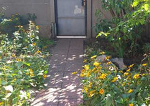 Оренда 1 кімнатної квартири