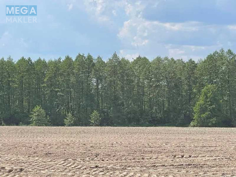 Продажа участка, 38,71&nbsp;соток, земля сельскохозяйственного назначения, <a class="location-link" href="/maryanovka-selo-kv-makarovskij-rajon/" title="Недвижимость Мар'янівка">Мар`янівка</a>, Нова (изображение 1)