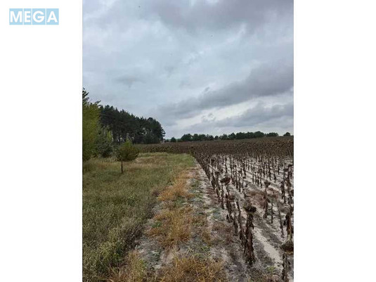 Продажа участка, 167,12&nbsp;соток, земля сельскохозяйственного назначения, <a class="location-link" href="/litvinovka-selo-kv/" title="Недвижимость Литвинівка">Литвинівка</a>, Нова (изображение 1)