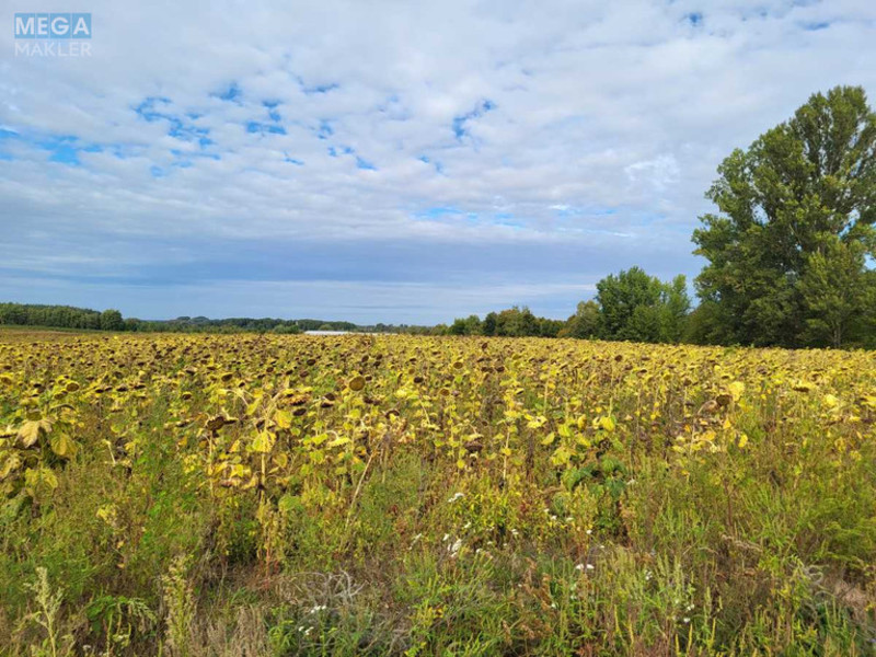 Продажа участка, 200&nbsp;соток, земля сельскохозяйственного назначения, <a class="location-link" href="/voronkov/" title="Недвижимость Вороньків">Вороньків</a>, б/н (изображение 1)