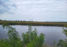 Продажа участка, 200 соток, земля сельскохозяйственного назначения