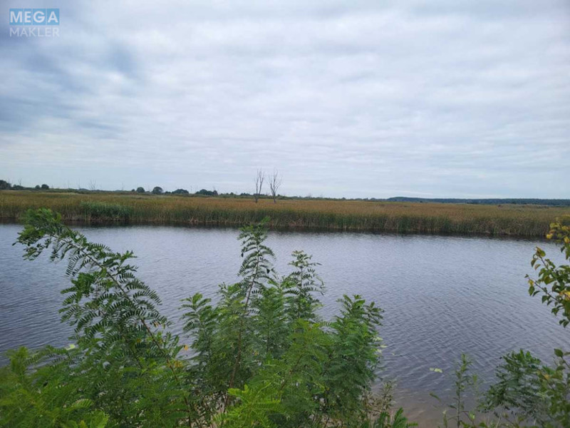 Продажа участка, 200&nbsp;соток, земля сельскохозяйственного назначения, <a class="location-link" href="/voronkov/" title="Недвижимость Вороньків">Вороньків</a>, б/н (изображение 1)