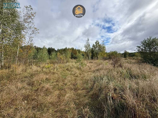 Продажа участка, 700&nbsp;соток, земля сельскохозяйственного назначения, <a class="location-link" href="/rovy/" title="Недвижимость Рови">Рови</a>, Центральна (изображение 1)