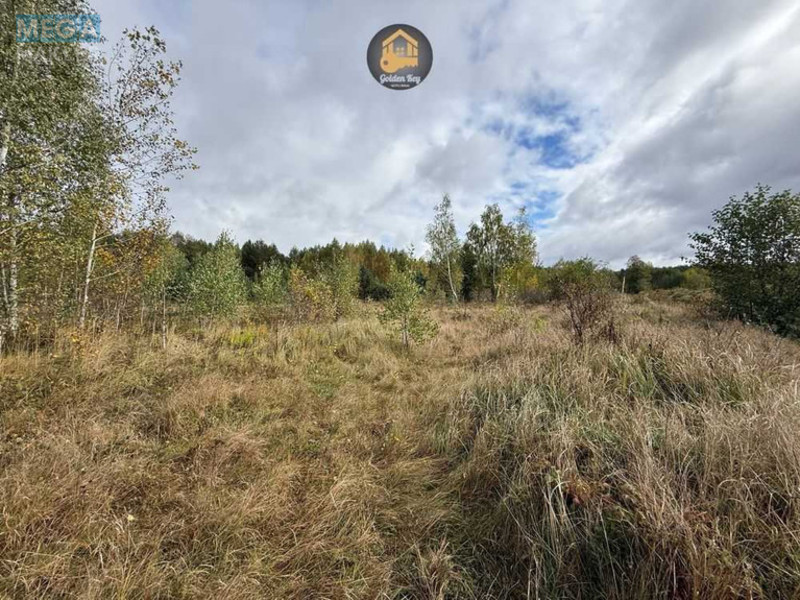 Продажа участка, 700&nbsp;соток, земля сельскохозяйственного назначения, <a class="location-link" href="/rovy/" title="Недвижимость Рови">Рови</a>, Центральна (изображение 1)