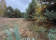 Продажа участка, 20&nbsp;соток, участок под жилую застройку