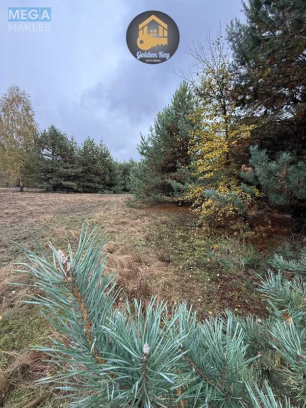 Продажа участка, 20&nbsp;соток, участок под жилую застройку, <a class="location-link" href="/abramovka/" title="Недвижимость Абрамівка">Абрамівка</a>, Центральна (изображение 1)