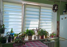 Оренда кімнати (підселення)