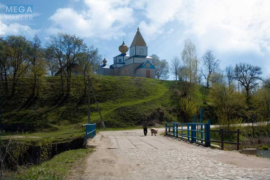 Продаж дома, 1&nbsp; поверх, 60&nbsp;кв.м, 3&nbsp;кімнати, ділянка 40&nbsp;соток, <a class="location-link" href="/nehvorosh-selo/" title="Недвижимость Нехворощ">Нехворощ</a>, Центральна (изображение 1)