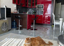 Оренда 2 кімнатної квартири