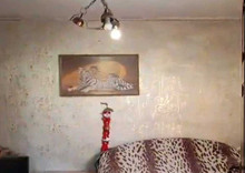 Оренда дома