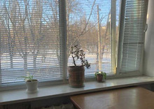 Оренда 2 кімнатної квартири