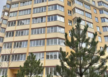 Новобудова, 10 поверхів