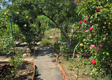 Продаж дома, 2&nbsp;поверху, 40&nbsp;кв.м, 2&nbsp;кімнати, ділянка 12&nbsp;соток