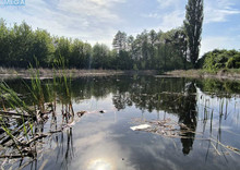 Продаж дома, 1&nbsp; поверх, 40&nbsp;кв.м, 1&nbsp; кімната, ділянка 2&nbsp;сотки