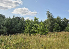 Продажа участка, 22,35&nbsp;сотки, участок под жилую застройку