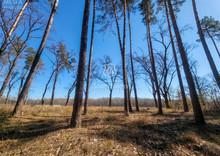 Продажа участка, 112,50&nbsp;соток, участок под жилую застройку