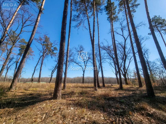 Продажа участка, 112,50&nbsp;соток, участок под жилую застройку, <a class="location-link" href="/kozin-selo-kv/" title="Недвижимость Козин">Козин</a>, Соловьяненко Анатолия (изображение 1)