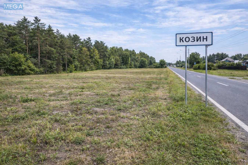 Продажа участка, 140&nbsp;соток, земля коммерческого назначения, <a class="location-link" href="/kozin-selo-kv/" title="Недвижимость Козин">Козин</a>, Київська (изображение 1)