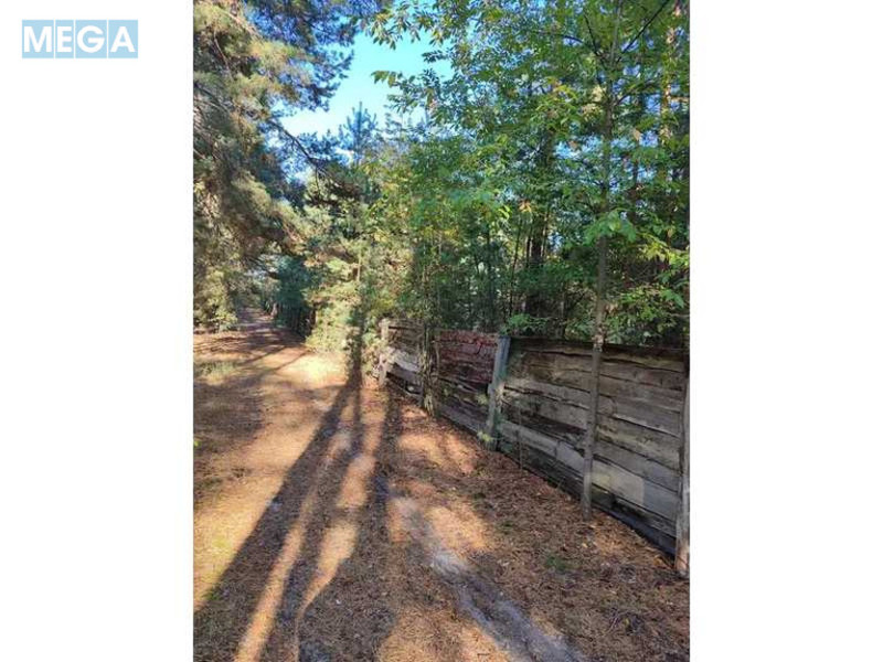 Продажа участка, 25&nbsp;соток, участок под жилую застройку, <a class="location-link" href="/pleseckoe/" title="Недвижимость Плесецьке">Плесецьке</a>, Лісна, 10 (изображение 1)