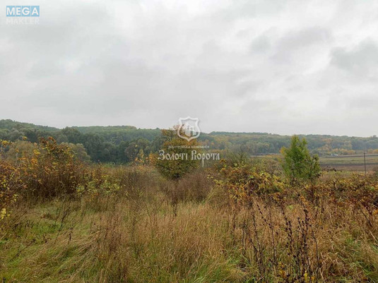 Продажа участка, 34&nbsp;сотки, участок под жилую застройку, <a class="location-link" href="/barahti/" title="Недвижимость Барахті">Барахти</a>, Віктора Бойка вул. (изображение 1)