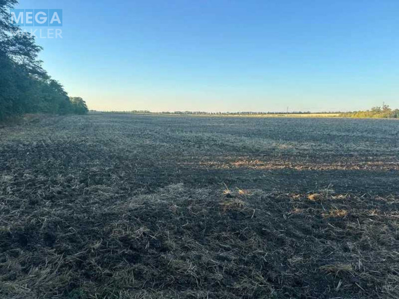 Продажа участка, 1&nbsp;000&nbsp;соток, земля сельскохозяйственного назначения, <a class="location-link" href="/podgorodnoe/" title="Недвижимость Підгородне">Підгородне</a>, Нова (изображение 1)