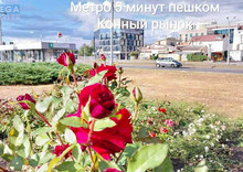 Продаж 3 кімнатної квартири (94/?/13), 15 пов. 16 пов. будинку