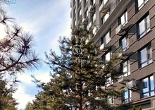 Продаж 1 кімнатної квартири (22,6/18,9/3,7), 10 пов. 11 пов. будинку