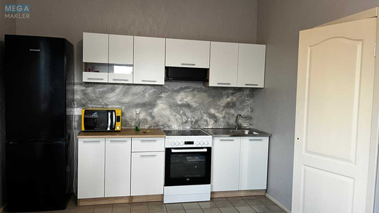 Оренда дома, <a class="location-link" href="/velikaya-dymerka/" title="Недвижимость Велика Дімерка">Велика Димерка</a>, Броварська (изображение 1)