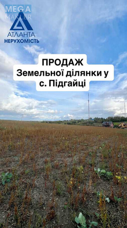 Продажа участка, 160&nbsp;соток, участок под жилую застройку, <a class="location-link" href="/podgajcy-selo-vl/" title="Недвижимость Підгайці">Підгайці</a>, Дубнівський провулок 6 (изображение 1)