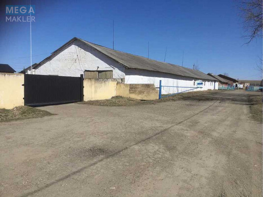 Продаж окремої будівлі/побудови, 2&nbsp;350&nbsp;кв.м, под производство, <a class="location-link" href="/tarashany/" title="Недвижимость Тарашані">Тарашани</a>, Головна, 132А (изображение 1)