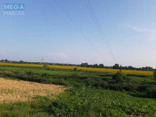 Продажа участка, 57,74&nbsp;соток, земля сельскохозяйственного назначения, <a class="location-link" href="/stovpyagi/" title="Недвижимость Стовп'яги">Стовп`яги</a>, Стовп язька с/р (изображение 4)