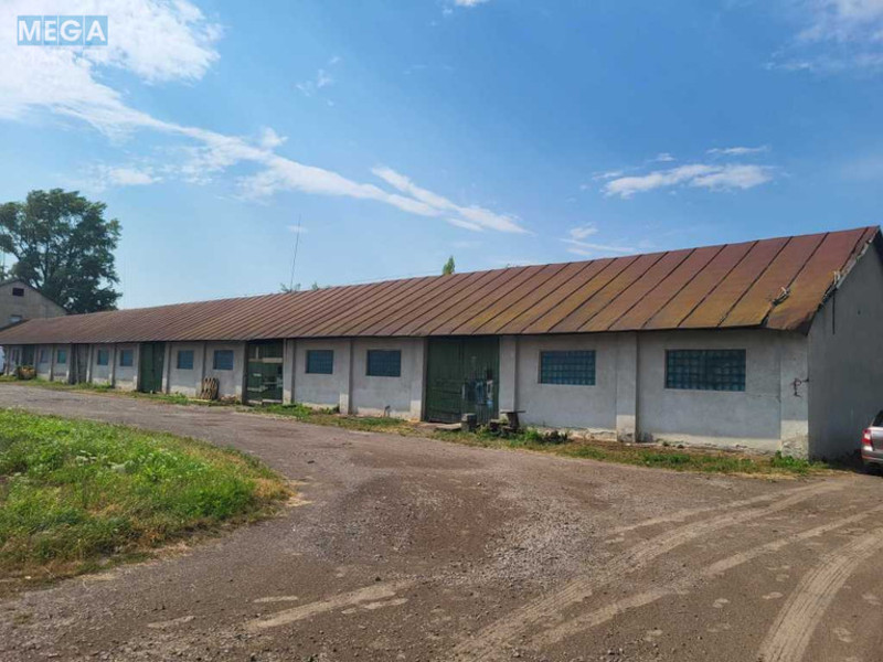 Продаж окремої будівлі/побудови, 6&nbsp;408,30&nbsp;кв.м, <a class="location-link" href="/mukachevo/" title="Недвижимость Мукачеві">Мукачеве</a>, Фурманова, 21 (изображение 6)