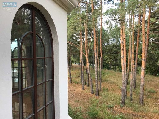 Продаж дома, 2&nbsp;поверху, 398&nbsp;кв.м, 7&nbsp;кімнат, ділянка 23&nbsp;сотки, <a class="location-link" href="/lebedevka-selo-kv-vyshgorodskij-rajon/" title="Недвижимость Лебедівка">Лебедівка</a>, Центральная, 16 (изображение 19)