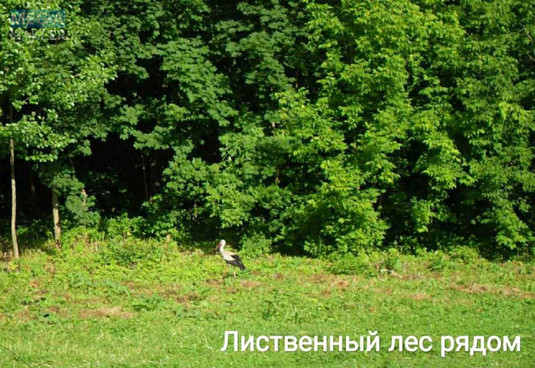 Продаж дома, 1&nbsp; поверх, 77&nbsp;кв.м, 3&nbsp;кімнати, ділянка 25&nbsp;соток, <a class="location-link" href="/sumi/" title="Недвижимость Суми">Суми</a>, <a class="location-link" href="/sumi/zarechnij/" title="Недвижимость Зарічний район">Зарічний р-н</a>, Мира (изображение 15)