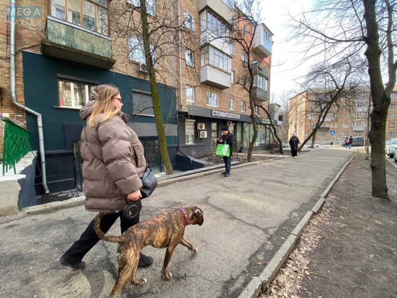 Оренда комерційної нерухомості, 40 кв.м, под магазин, <a class="location-link" href="/kiev/" title="Недвижимость Київ">Київ</a>, <a class="location-link" href="/kiev/pecherskij/" title="Недвижимость Печерський район">Печерський р-н</a>, Німанська вул., 4 (изображение 2)