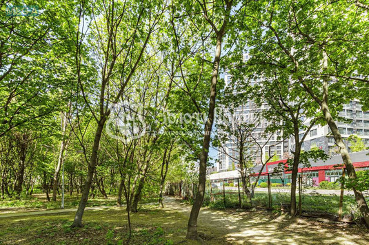 Продаж 2 кімнатної квартири (63,3/31/13,6), 6 пов. 26 пов. будинку, <a class="location-link" href="/kiev/" title="Недвижимость Київ">Київ</a>, <a class="location-link" href="/kiev/shevchenkovskij/" title="Недвижимость Шевченківський район">Шевченківський р-н</a>, Дегтярівська вул., 25е (изображение 19)