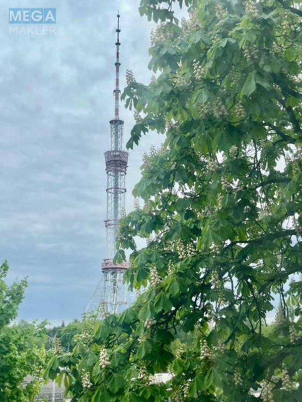 Продаж 2 кімнатної квартири (43,5/30/6), 3 пов. 5 пов. будинку, <a class="location-link" href="/kiev/" title="Недвижимость Київ">Київ</a>, <a class="location-link" href="/kiev/shevchenkovskij/" title="Недвижимость Шевченківський район">Шевченківський р-н</a>, Олены Телиги ул., 21 (изображение 19)