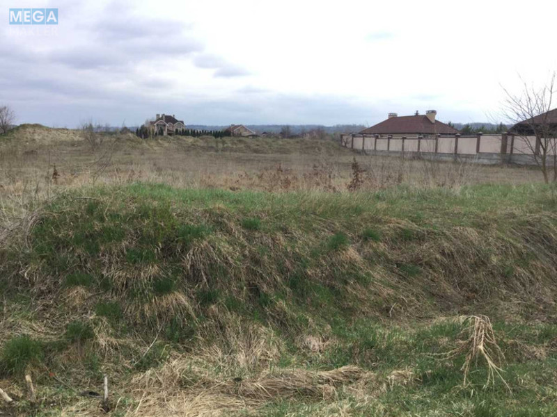 Продажа участка, 48 соток, участок под жилую застройку, <a class="location-link" href="/romankov/" title="Недвижимость Романків">Романків</a>, Лесная (изображение 6)
