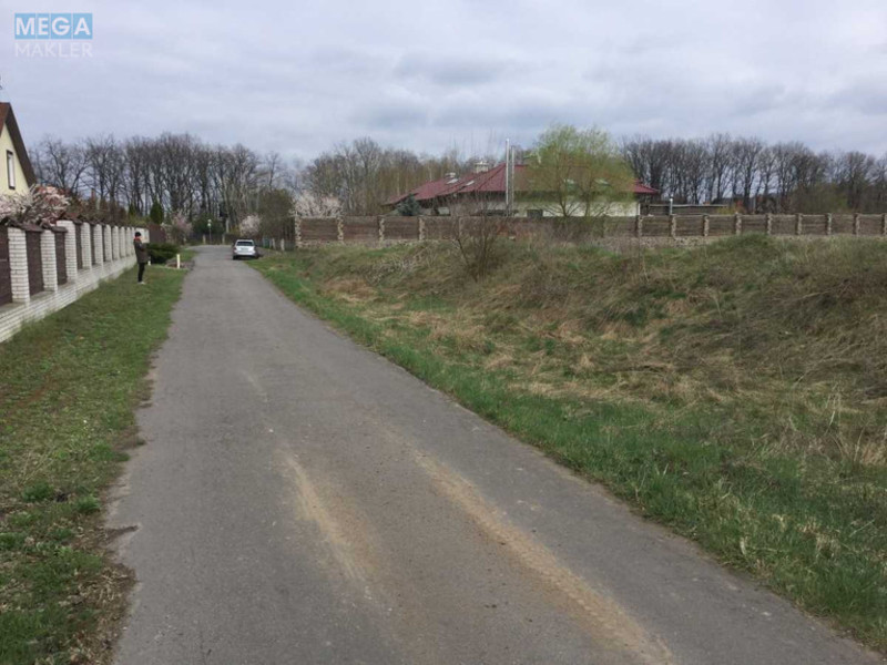 Продажа участка, 48 соток, участок под жилую застройку, <a class="location-link" href="/romankov/" title="Недвижимость Романків">Романків</a>, Лесная (изображение 9)