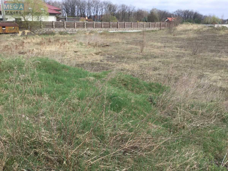 Продажа участка, 48 соток, участок под жилую застройку, <a class="location-link" href="/romankov/" title="Недвижимость Романків">Романків</a>, Лесная (изображение 12)